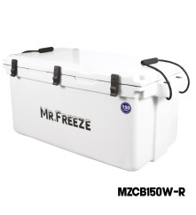 Mr. FREEZE - 150 L Ice Box Cooler